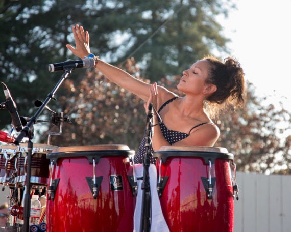 Petaluma Music Festival